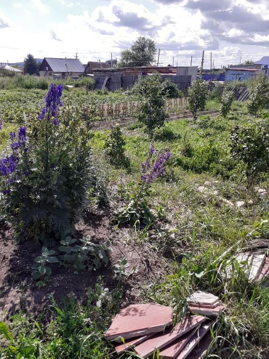 Обмен  Курорт Зеренда на Астану