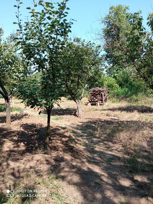 Вилно място във месността Стражата