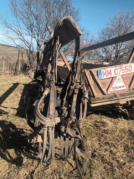 Caruta după cal și alte scule la pachet, ham rarita grapa..