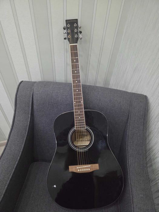 Гитара(Еще в пленке, почти новая)