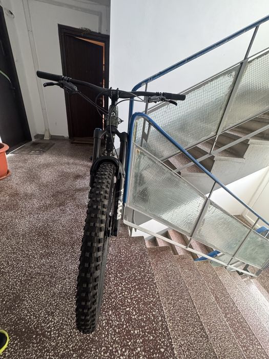 Polygon Collossus N9 L 2024