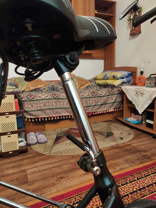 Bicicleta Dama pliabila