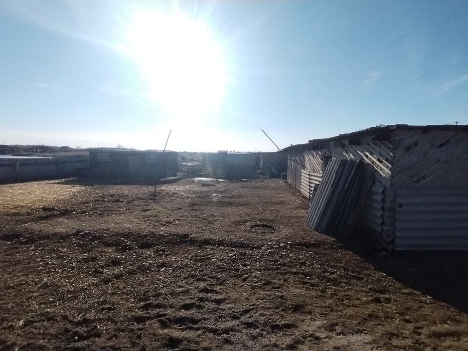 Продам дом  с. Шаховском