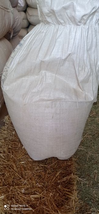 Somon mayda, Сомон майда ( Гул сувокка) Qamich lombozga