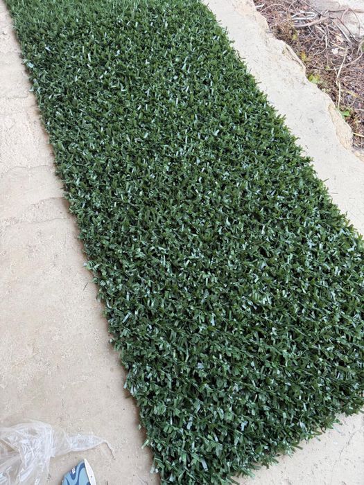 Жив плет, декоративна ограда