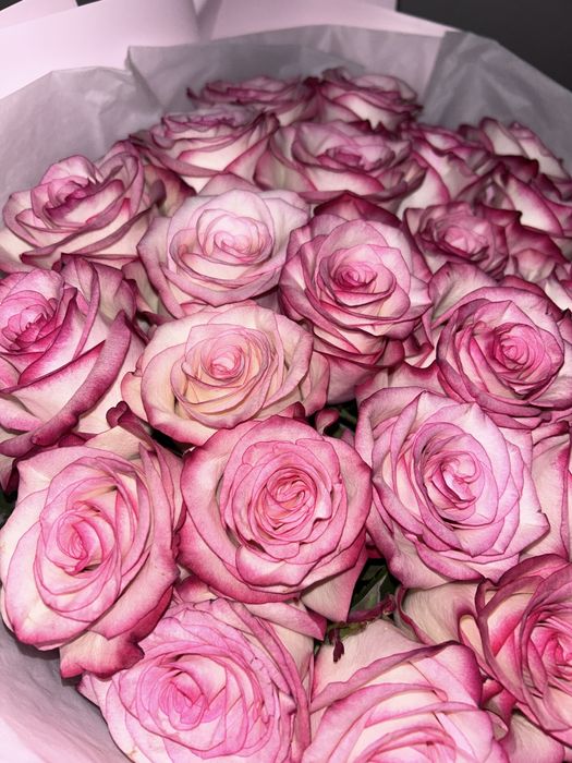 25штук роза гүлі