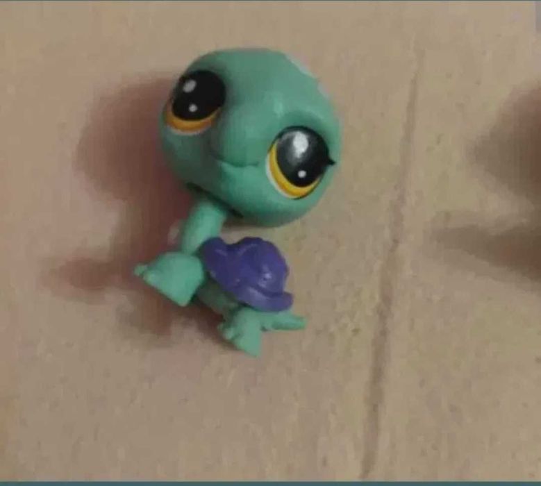 Set reptile Litle Pets