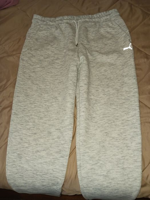 Анцузи на Пума...