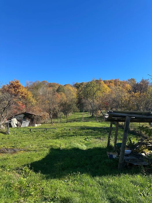 Casă bătrânească + casă nouă la roșu, teren 6.900 mp – Cotmeana, Argeș