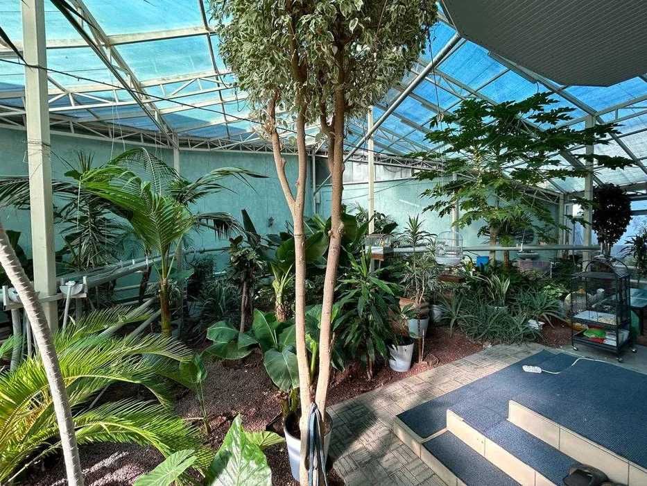 Дом 13 соток махалля Садаф ,Карасу ,Фасад 40 метров ,можно разделить