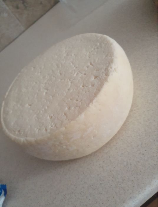 Caș de vacă proaspat