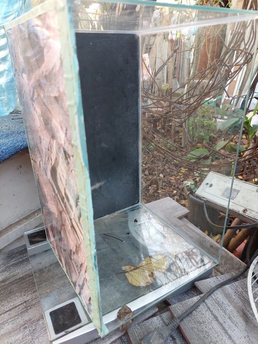 Acvariu de vinzare in stare buna