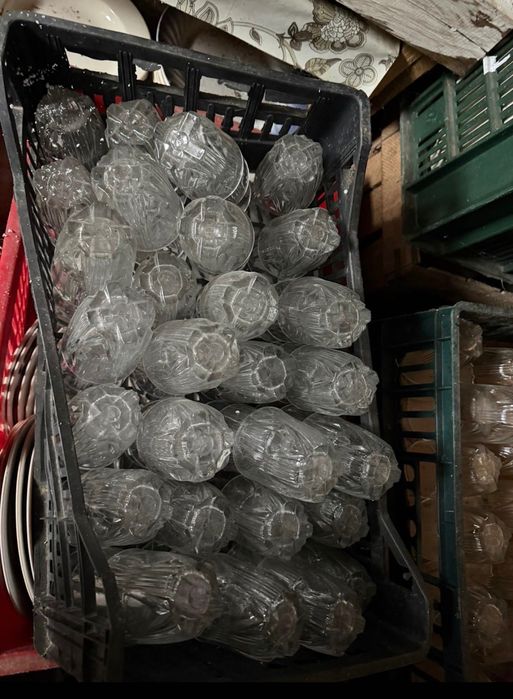 Vând pahare cort ,250 de bucati