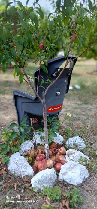 Vand scaun bicicleta copii Polisport