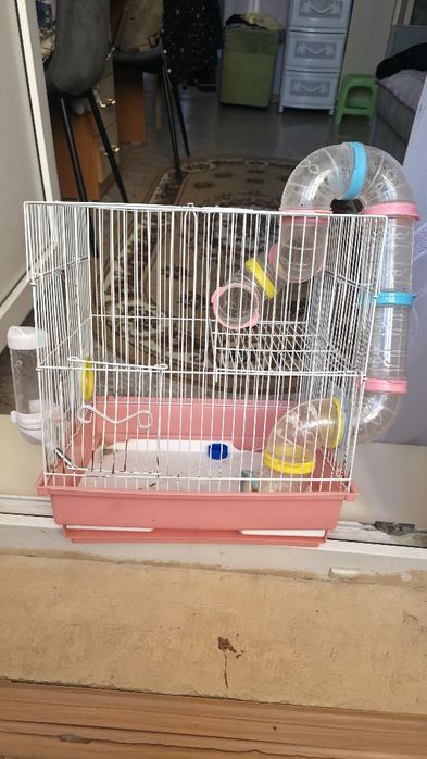 Продам клетку для хомяка