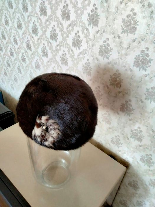 Женская шапка зима.