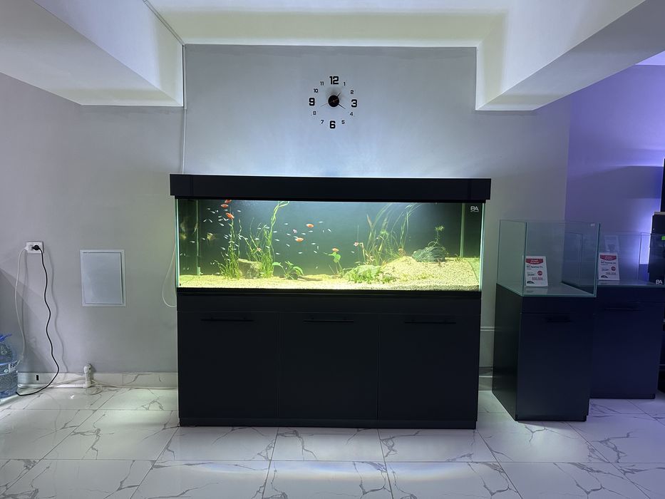 To’y va bayramlar uchun akvarium