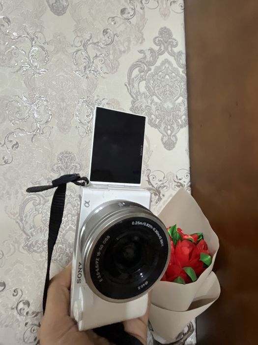 Camera Sony ZV-E10