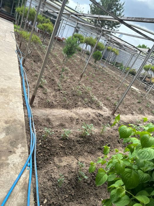 Nazarbekda uchaska tikuv sexi uchun arendaga beriladi