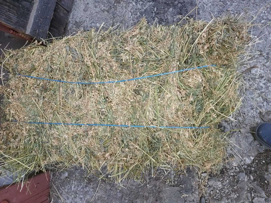 vand baloti lucerna de calitate