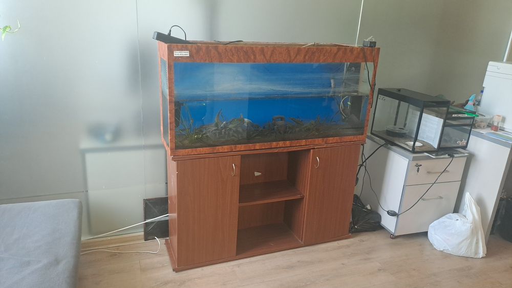 Akvarium tumba bilan