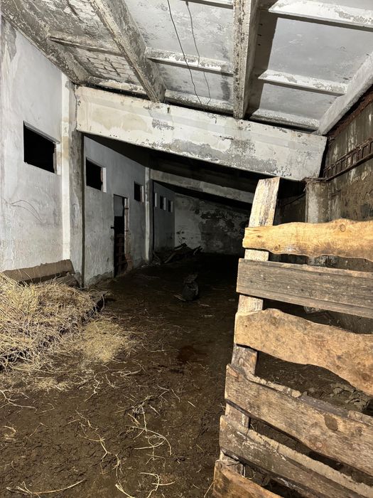 животноводческая база