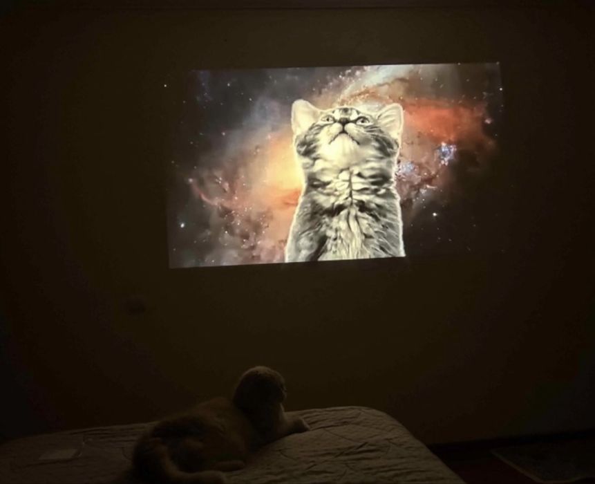 Проектор Wanbo T6 Max