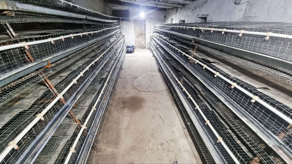 Бедона Сеткаси бор арзон нархда