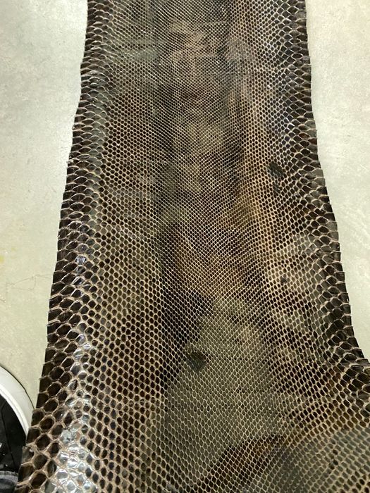 Естествена змийска кожа