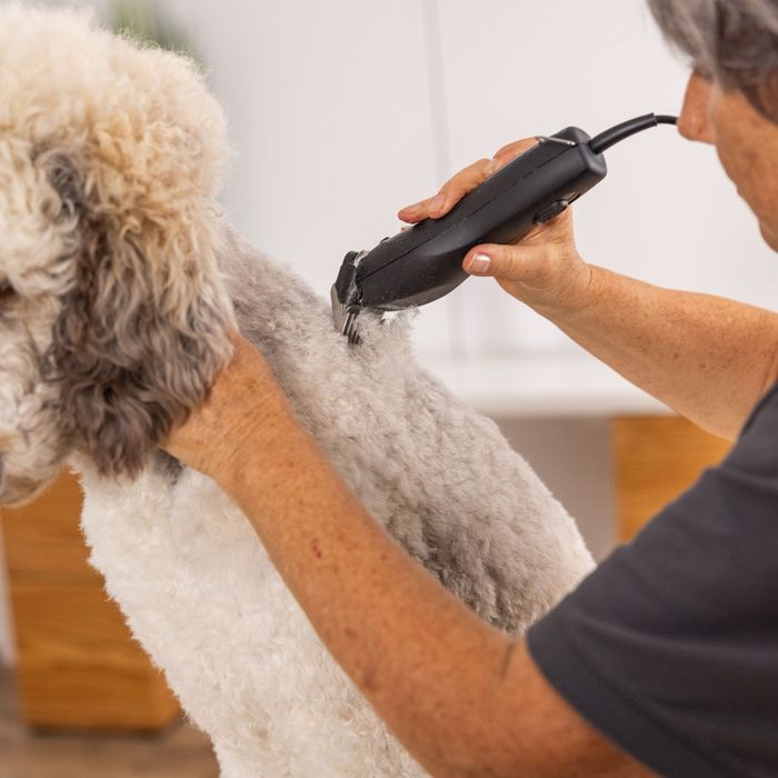 Mașină de tuns profesională WAHL Max50+ nouă