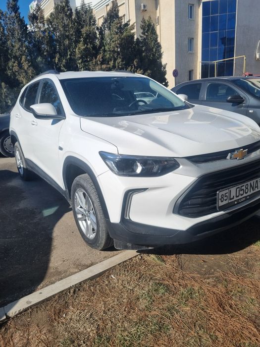 Trikir ls 2024 kraskasi tozza