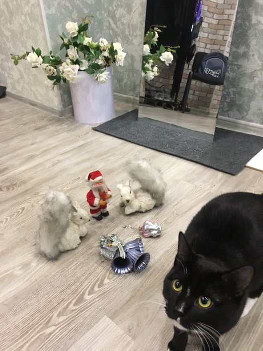 Все для праздника