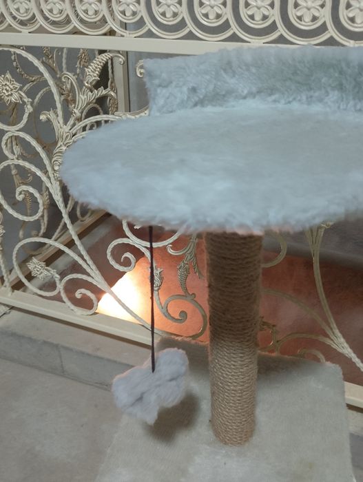 Вещи кота , комплект.