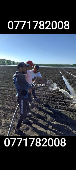 FORAJE PUȚURI BUCUREȘTI & ILFOV Bragadiru , Fundulea, voluntari .