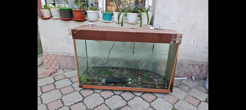 Продам аквариум большой