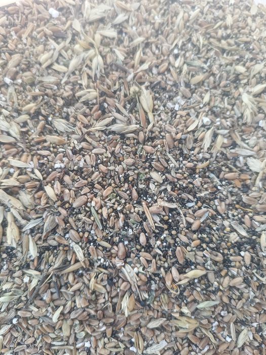 Зерноотходы хорошего качества