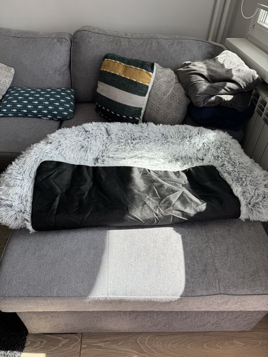 Легло за куче за диван