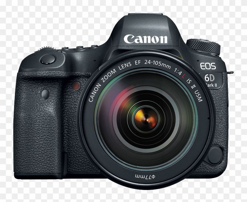 Canon 6D mark II , объектив ef24-70