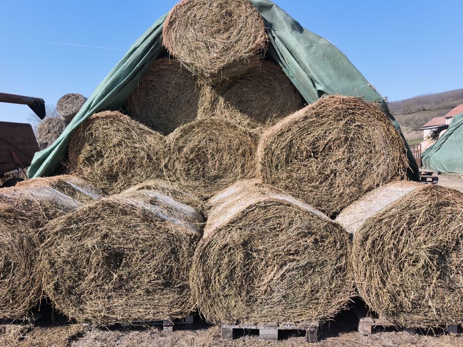 Vand baloti  lucerna ,coasa a doua ,280 ron