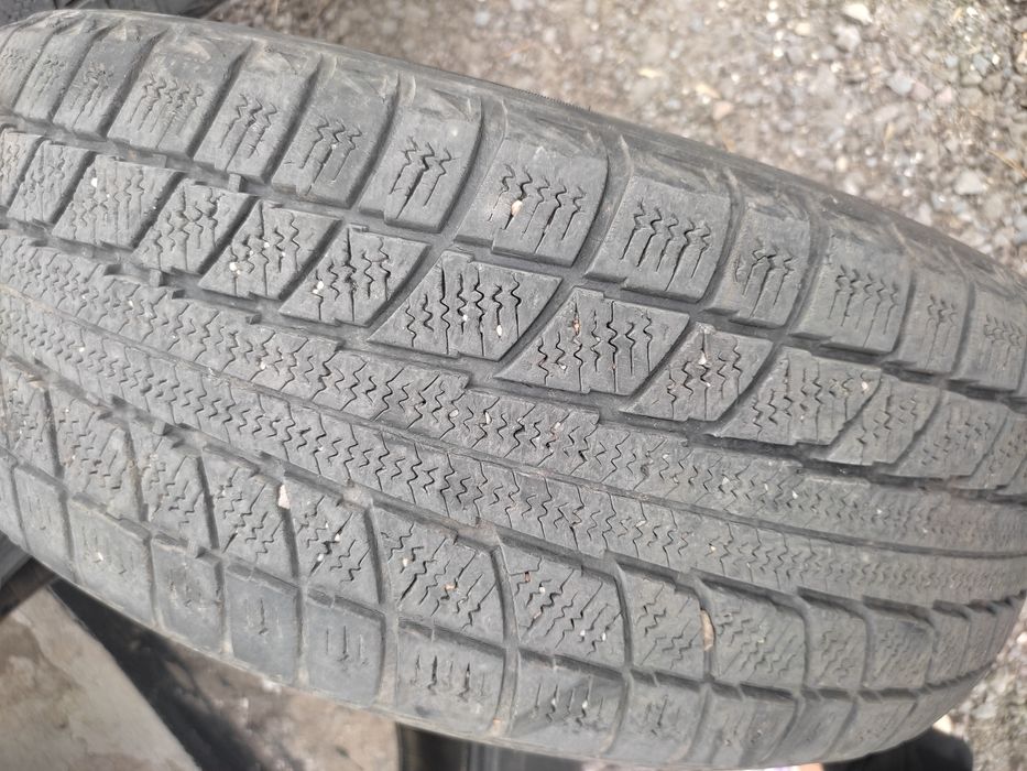 Резина TRIANGLE   snow lion