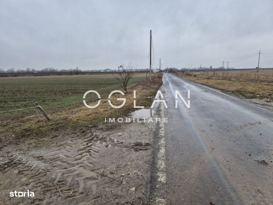 Teren extravilan 11.300 mp, front 39 m, Selimbar