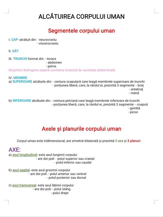 Dosar structurat pentru bacalaureat biologie (cls.XI-XII) - Anatomie