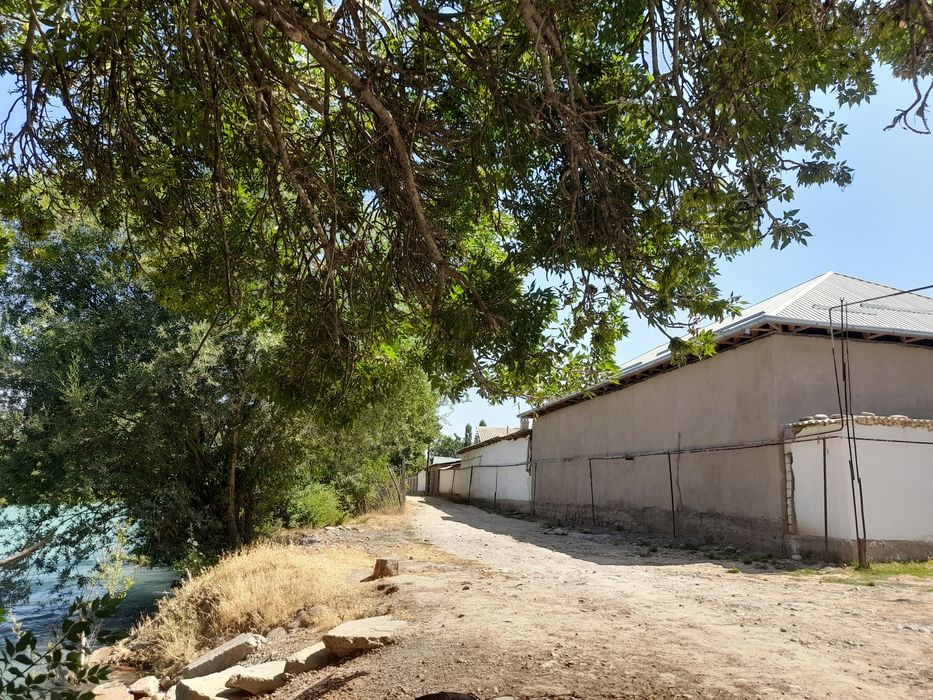 Срочна Уи солилади ховли катта богида хамма мевалари бор