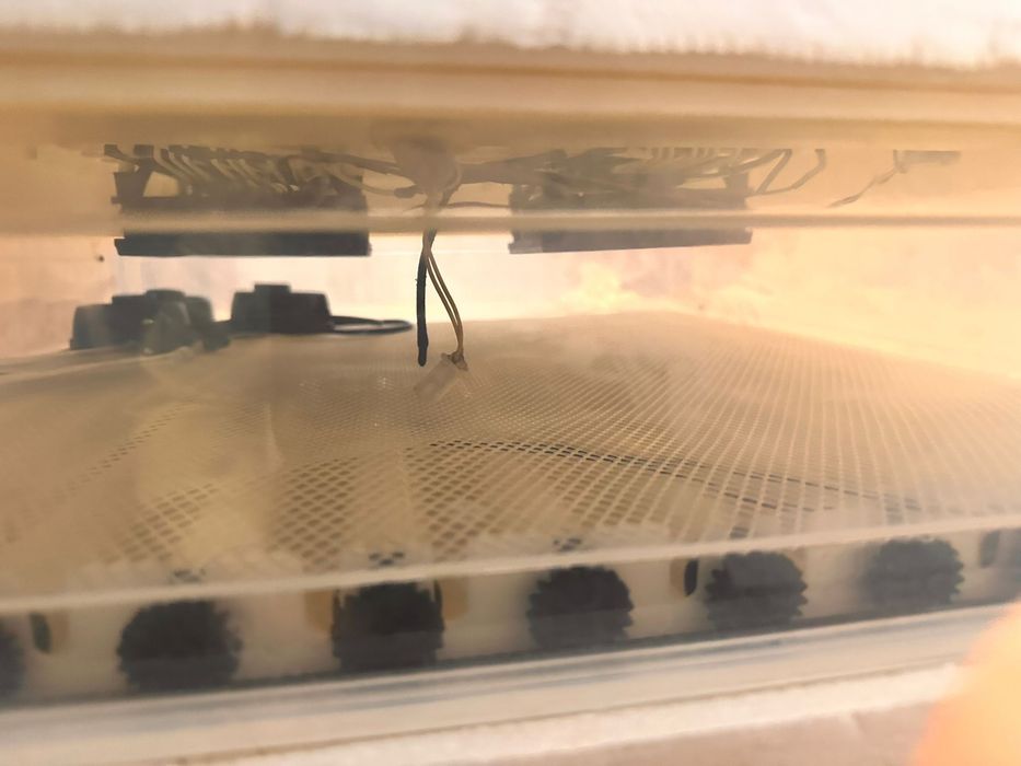 Incubator automat 110 oua