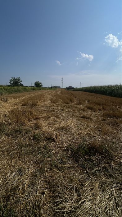 Teren parcelat in Ipotesti 4 parcele