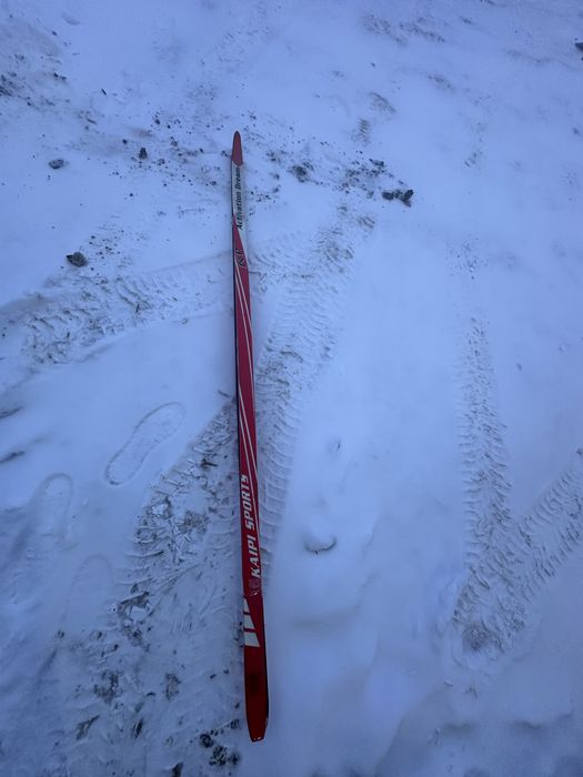 Продам лыжи новыйе