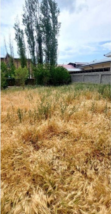 Янги Тошми постдан кирганда Победада 3 сотих ер