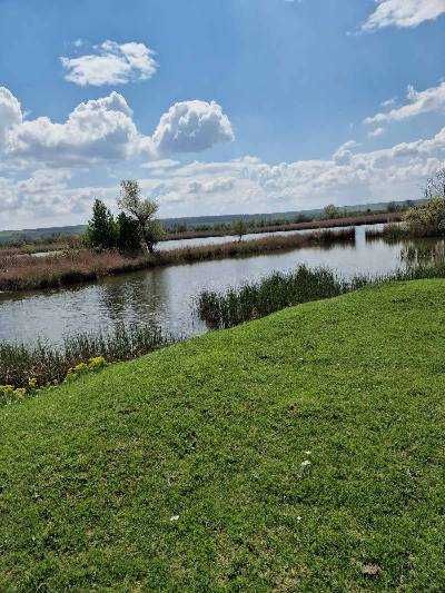 Продава се Парцел в с. Софрониево, Област Враца - 123000 кв.м за 2 €/кв.м - Снимка #2