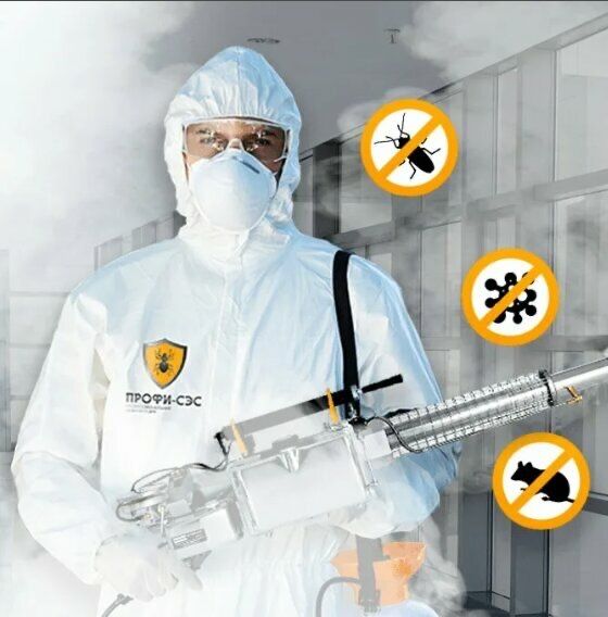 Термиты, клопы, тараканы