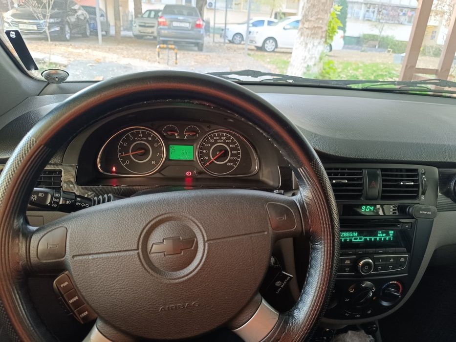 Джентра, дельфин 2019